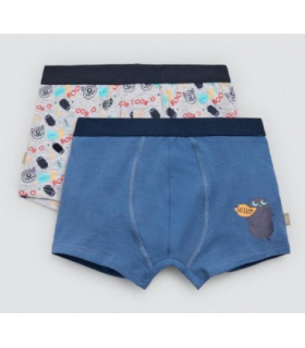 Pack de 2 bóxer niño, mod.18449, Ysabel Mora