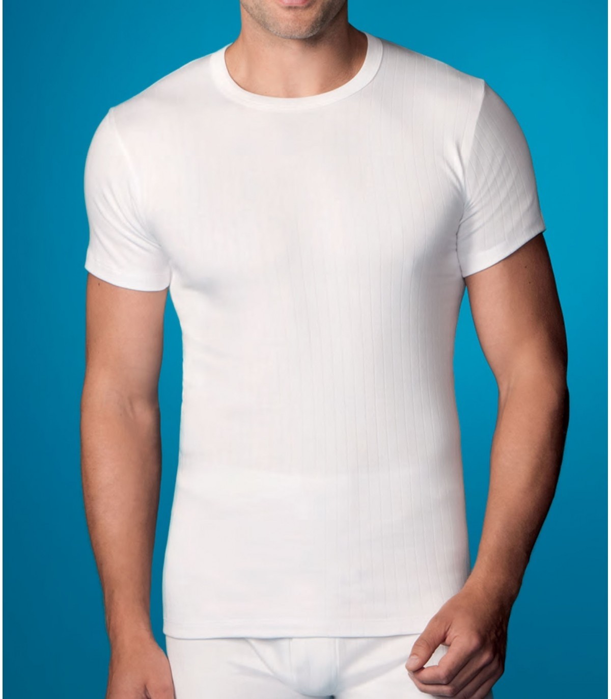 Camiseta Abanderado 206 - CAMISETAS HOMBRE - Tiendas lenceria  Tu Lenceria  al Mejor Precio en todas las marcas que trabajamos
